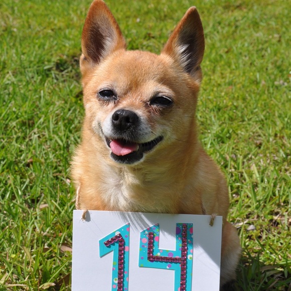 Meet your Posher, Stephanie - Picture 2 of 3